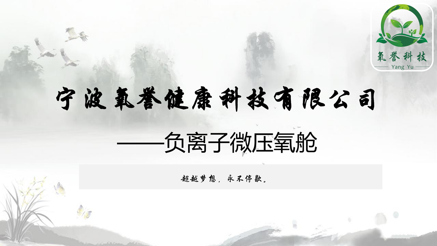 超越梦想，永不停歇 宁波氧誉演讲_00.png